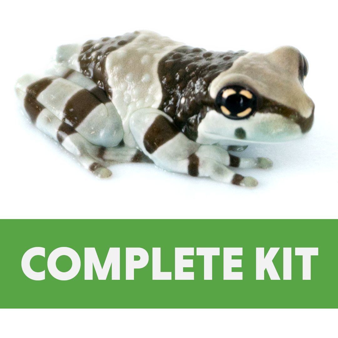 Amazon Milk Frog Complete Habitat Kit (18x18x24)