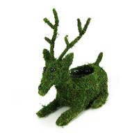 Galapagos Moss Reindeer Planter with 4" Drop In