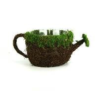 Galapagos Moss Watering Can Planter 7"