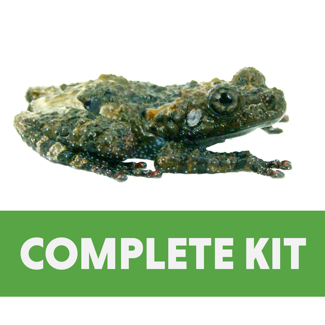 Mossy Frog Complete Habitat Kit (18x18x18)