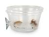 Mounted Suction Feeding Cup for Geckos (2 oz Cup) SHIPS WITH ANIMALS