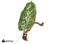 Pet-Tekk Habi-Scape Single Leaf Hide Plant (Small)