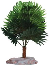 Pet-Tekk Mini Fan Palm