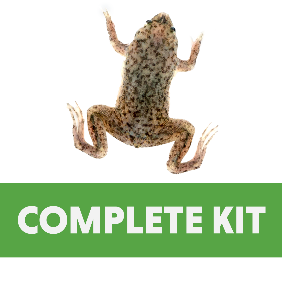 Aquatic Frog Complete Habitat Kit