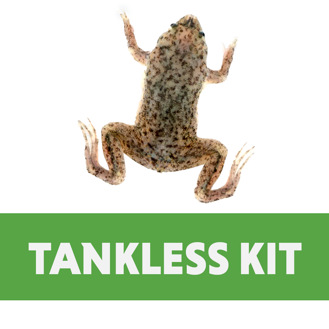 Aquatic Frog Tankless Habitat Kit (10 Gallon)