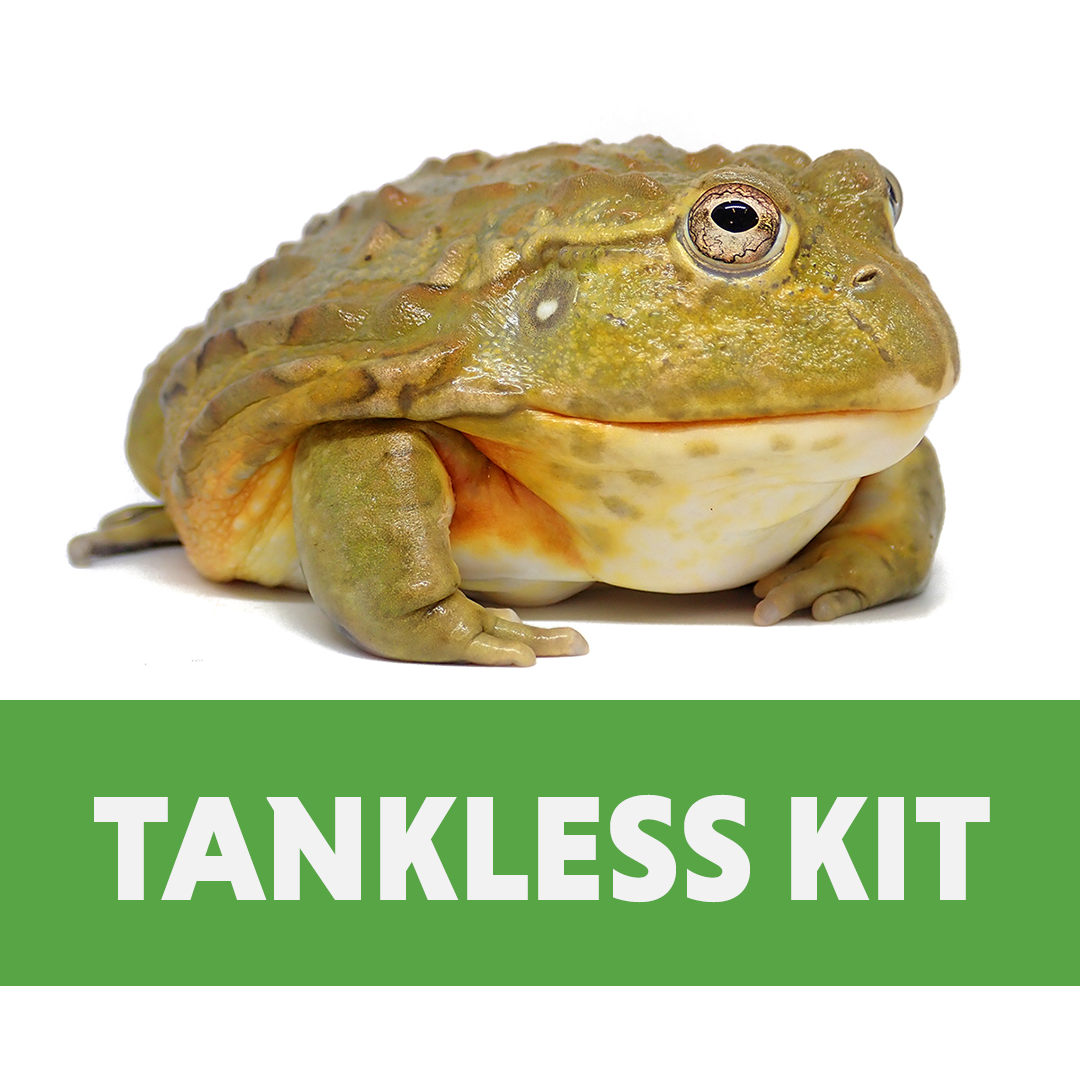 Giant Pixie Frog Tankless Habitat Kit (10 gallon)
