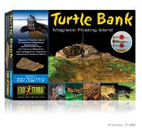 Turtle Banks
