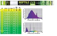 Exo Terra Reptile Fluorescent Bulb - UVB 100 (18 Watt, 24")