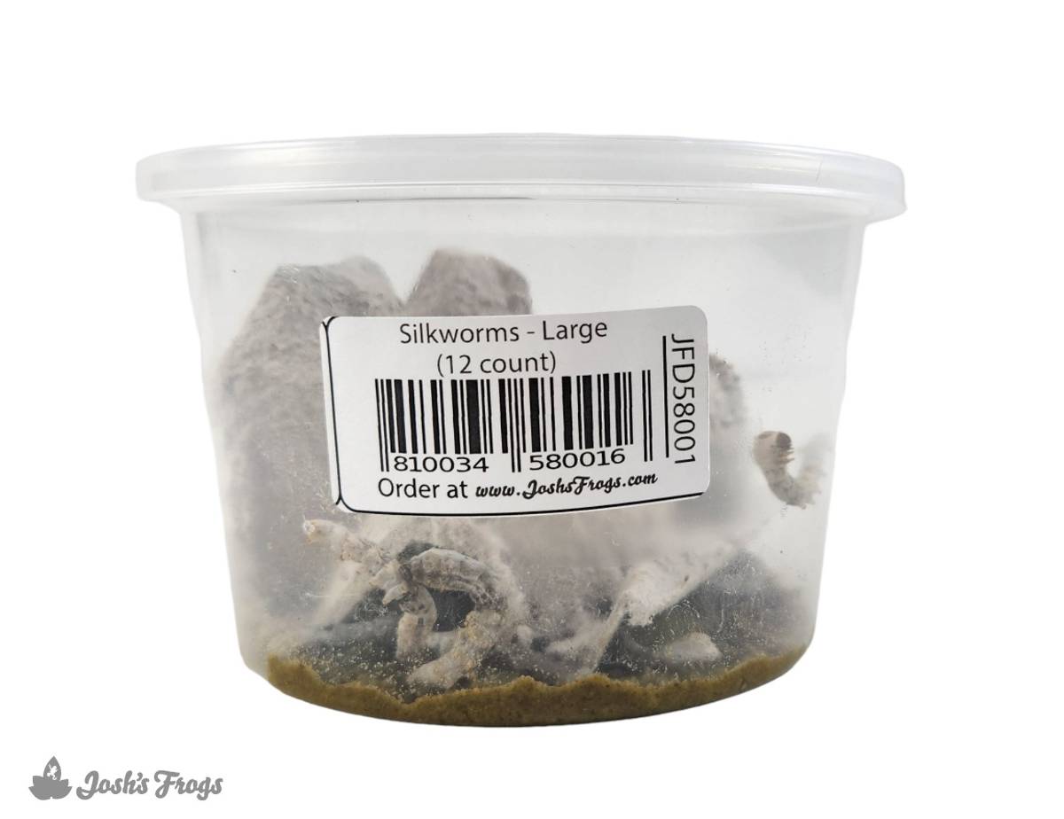 Josh's Frogs Silkworms Live Feed Reptile Food, Large, 12 Count