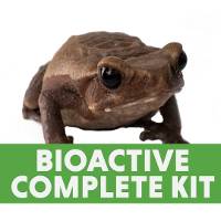 Adult Smooth Sided Toad Complete Habitat Kit (24x18x18)