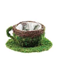 SuperMoss Moss Coffee Cup Planter (Large - 6 inch)