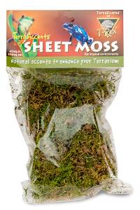 T-Rex Terra Accents Sheet Moss