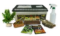 Terrestrial Salamander & Newt Habitat Complete Economy Kit
