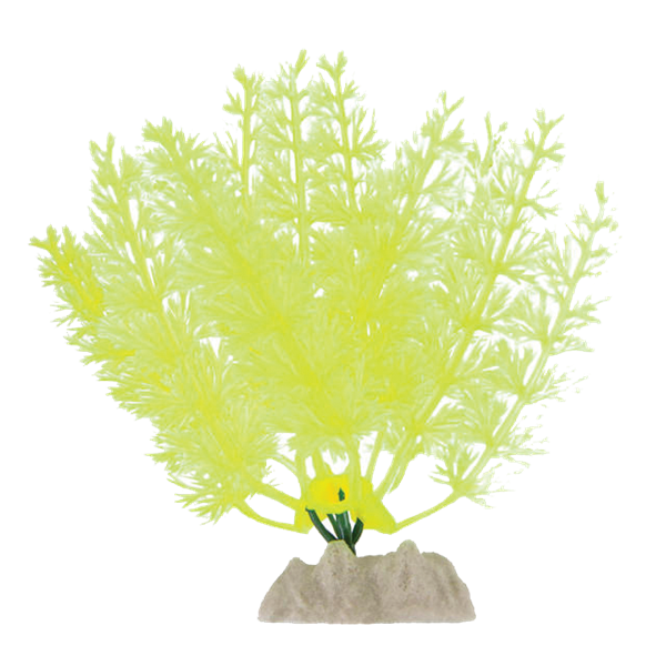 Tetra GloFish Aquarium Plant (Small - Yellow)