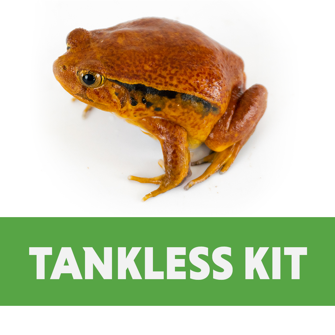 Tomato Frog Tankless Habitat Kit (10 gallon)