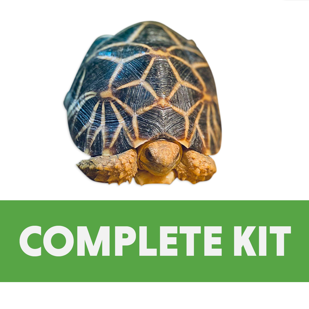 Complete Baby Tortoise Kit (24x18x18)