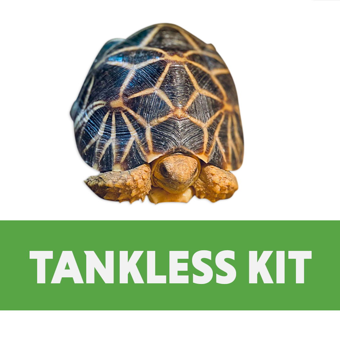 Juvenile/Adult Tortoise Tankless Kit (40B)