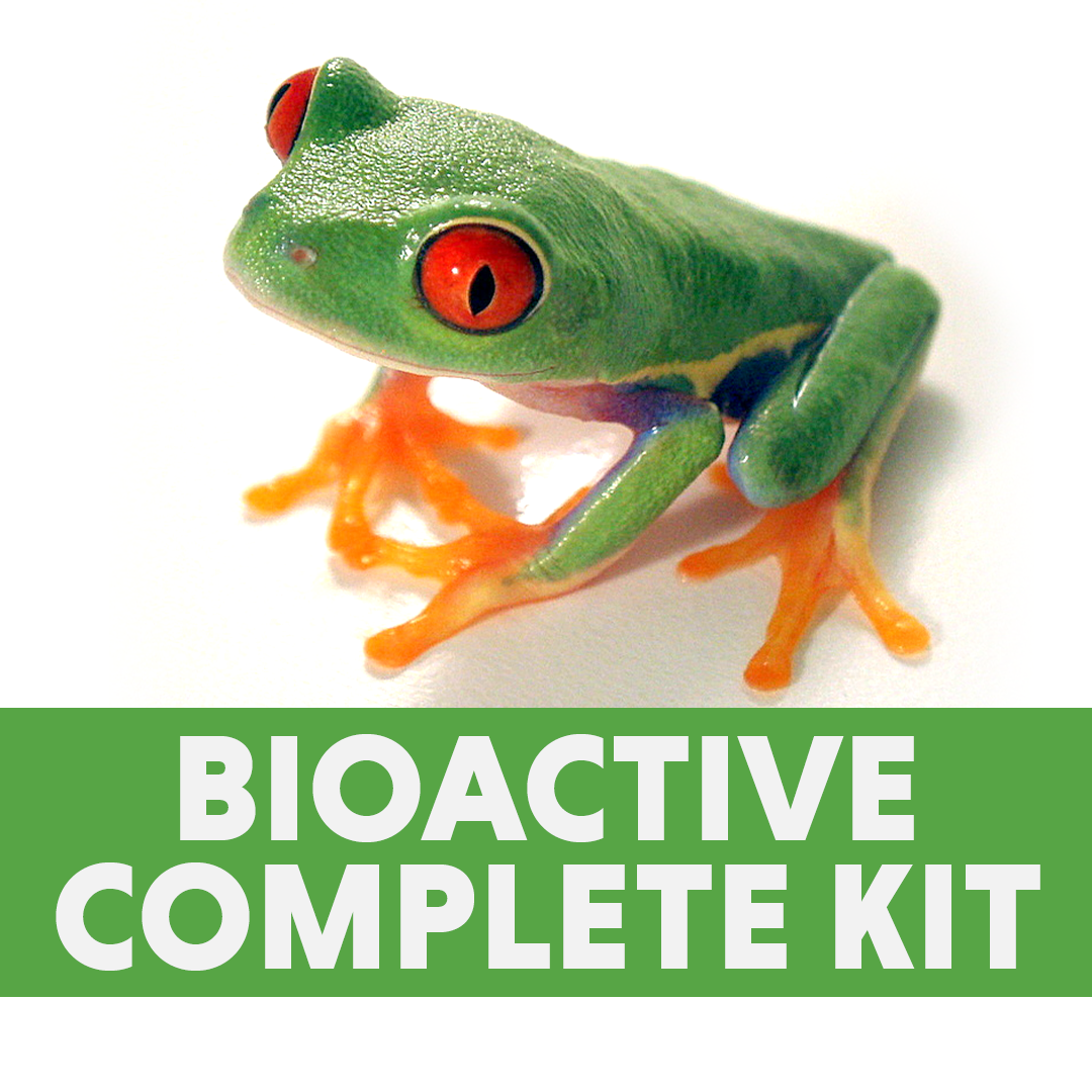 Tree Frog Complete Bioactive Habitat Kit (12x12x18)