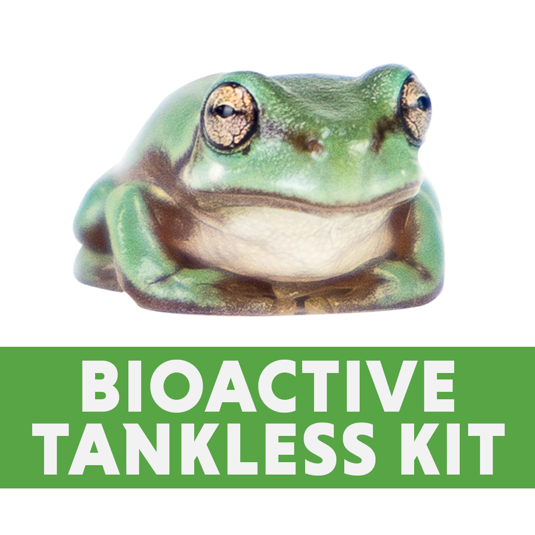 Tree Frog Bioactive Tankless Habitat Kit (18x18x18)