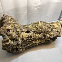 CT004
