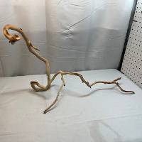 MAN004