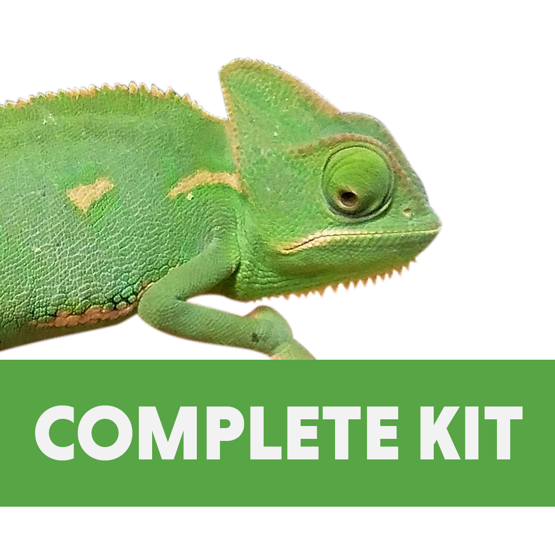 Veiled Chameleon Complete Habitat Kit