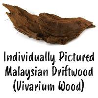 Malaysian Driftwood XL | Vivarium Wood (Individually Pictured)