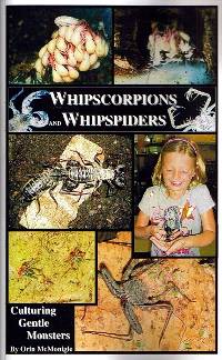 Whipscorpions and Whipspiders