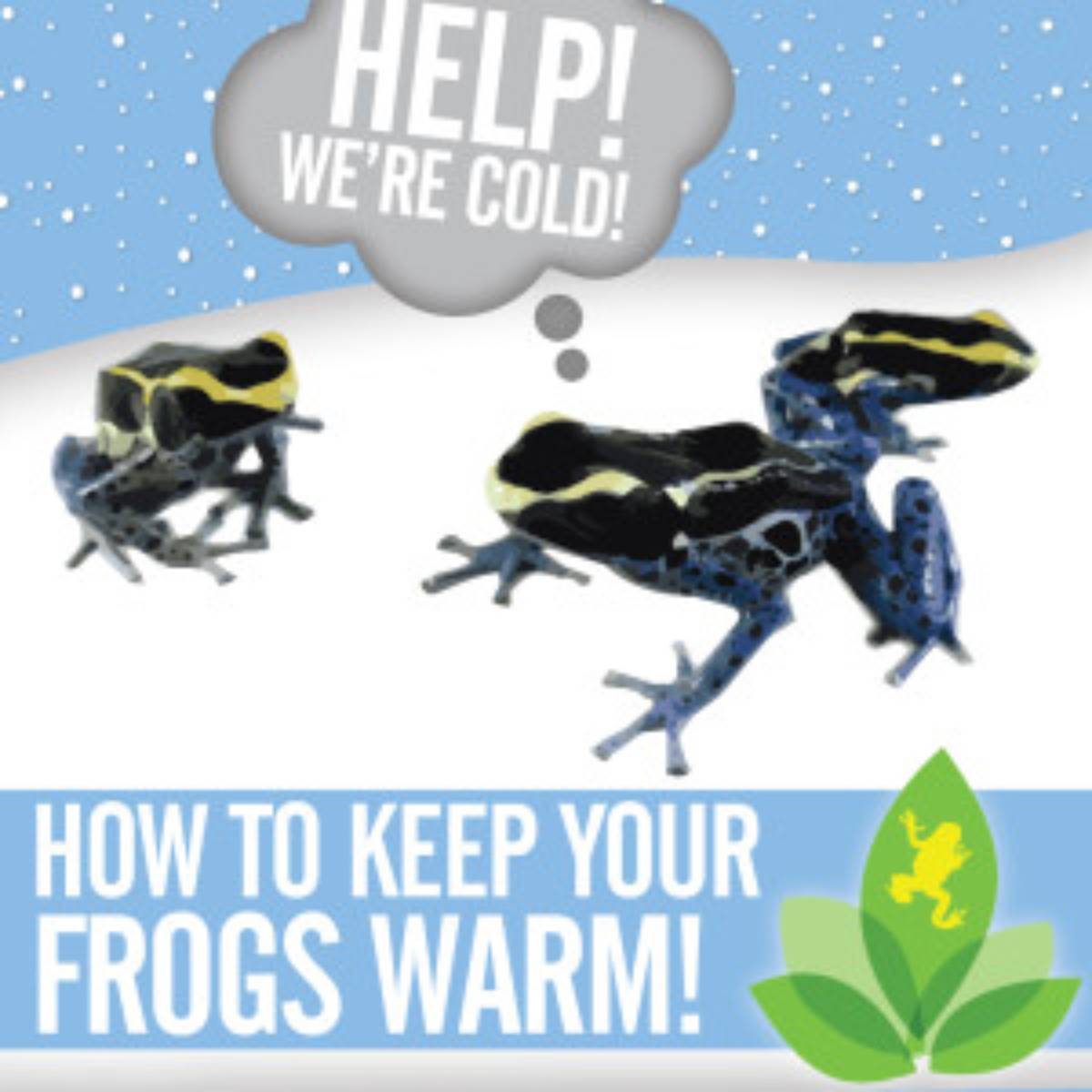 winter cold frogs-01