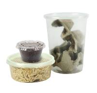 Yellow Spotted Climbing Toad Feeder Bundle